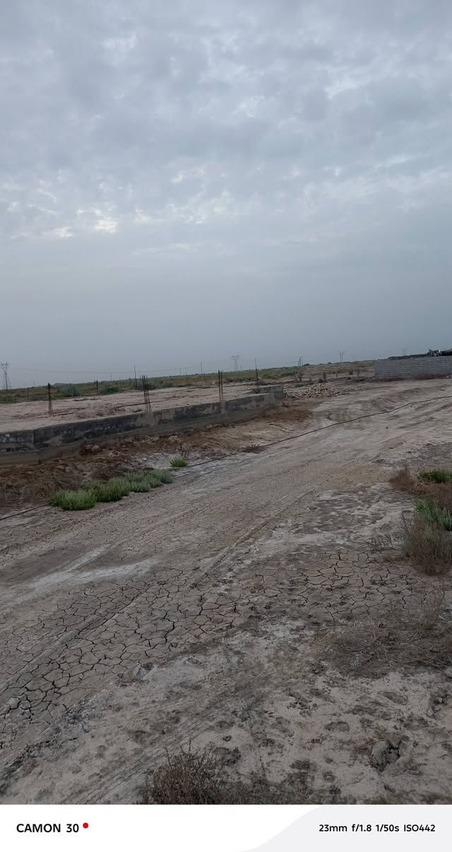 دونمين • النعومية • مقابل بستان سيد طاهر