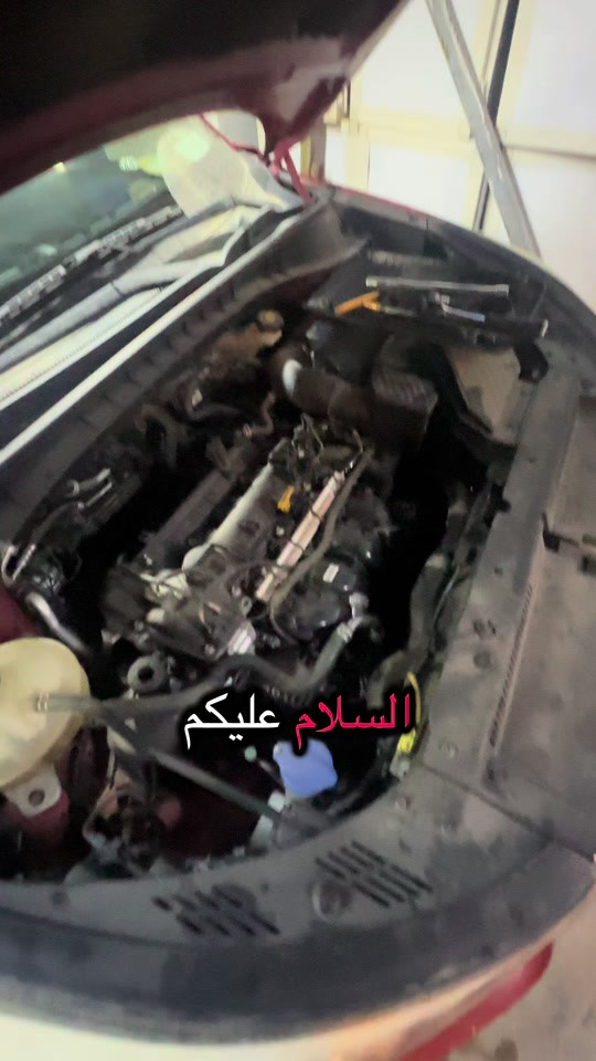 توسان • بلكات أصلية • الغزالية