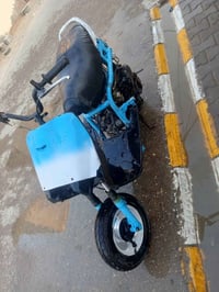 فراشة • عاطلة • شاصي