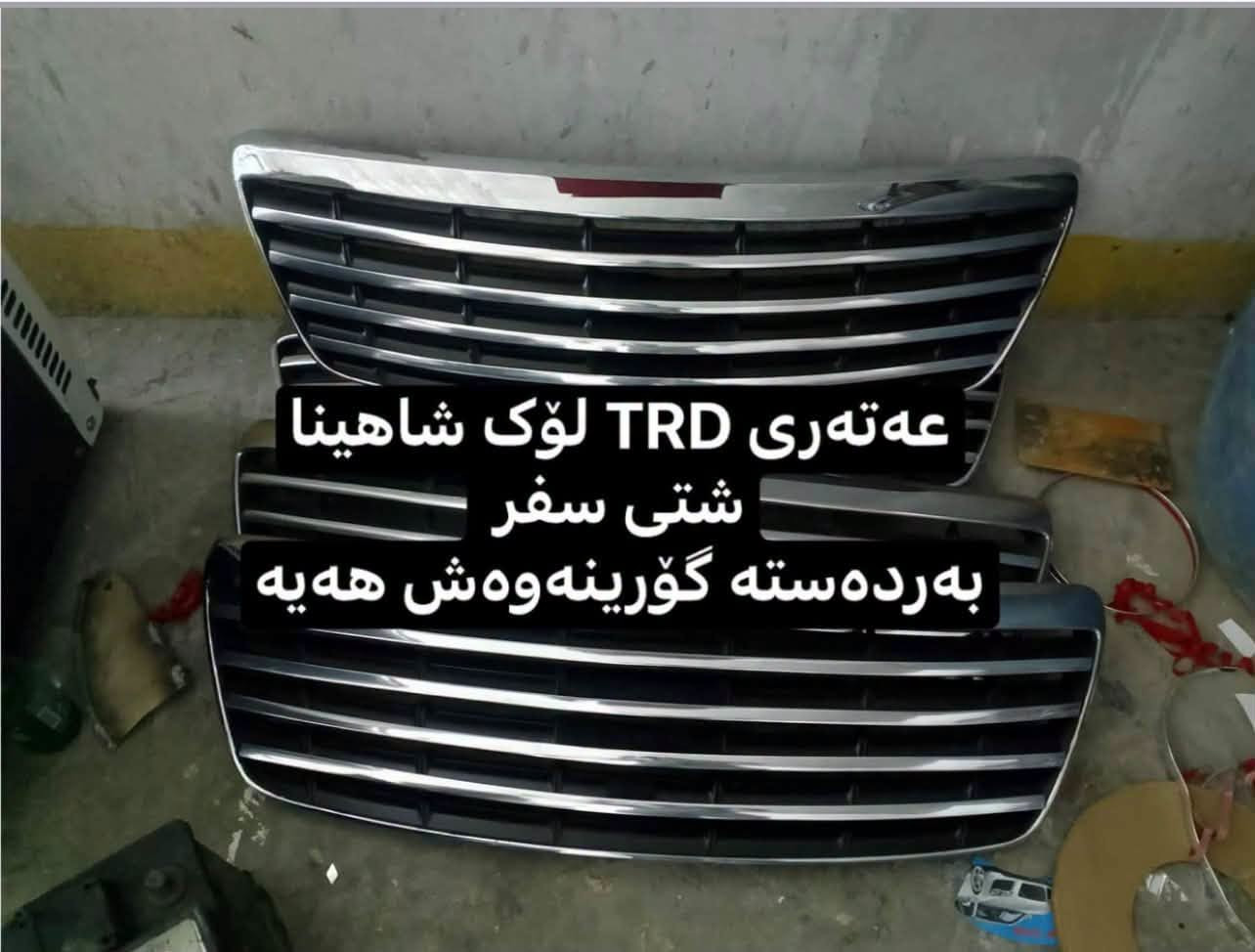 شاهينا بيلاد • غطاء سقف • ستيل