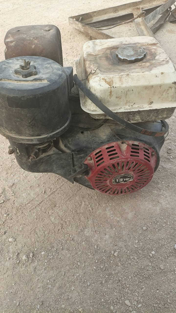 ونج • بدون عرباين
