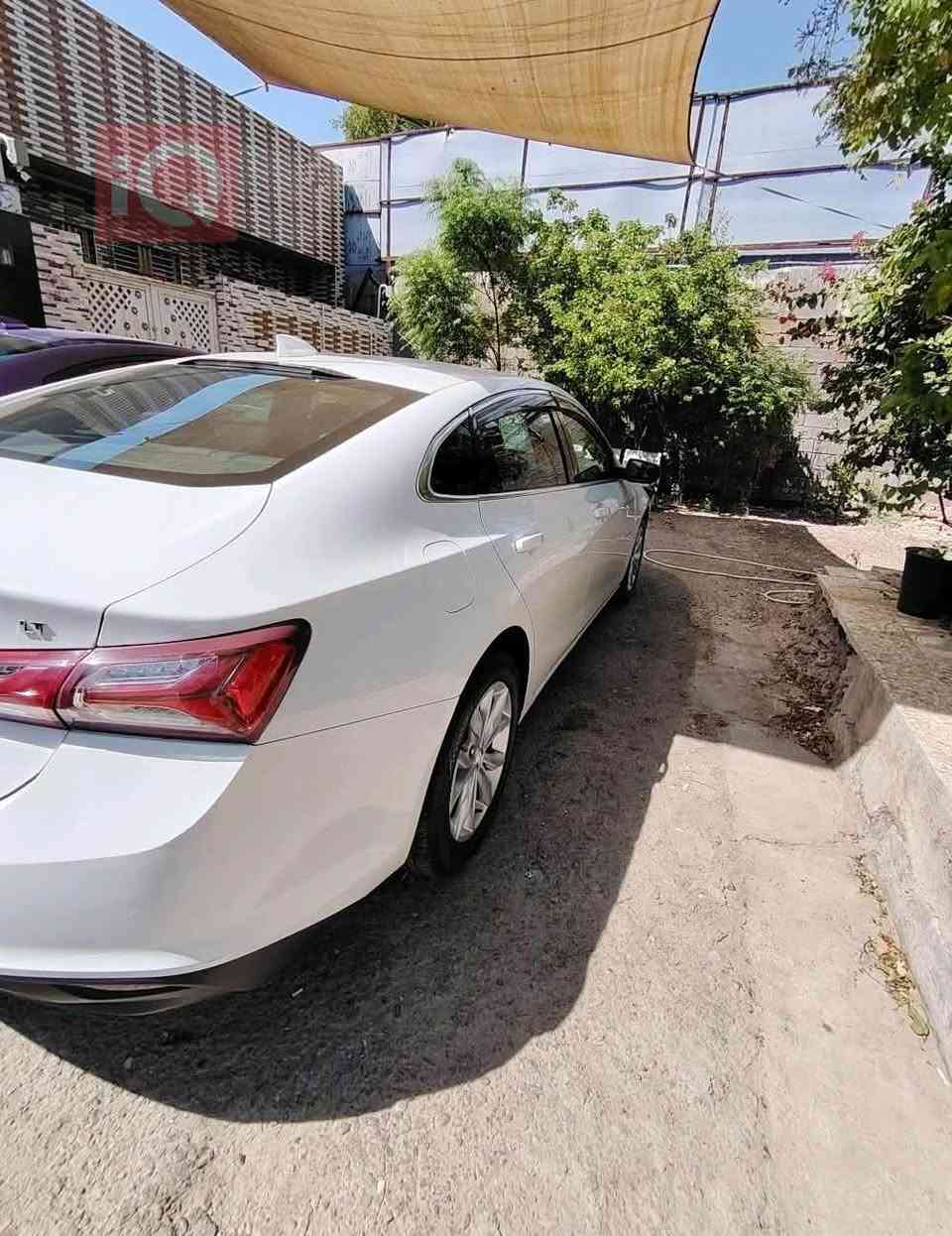 السلام عليكم ماليبو 2023 للبيع 

🚘 Chevrolet Malibu 2023 | LT | رقم أربيل

🤍 لون أبيض — داخل شامواه
⚡ محرك 1.5 Turbo
📍 ماشية فقط 38 ألف كم
🔑 بصمة + مقاعد كهربائية
📺 شاشة كبيرة
📡 رادار + مستشعر وقوف
📷 كاميرا خلفية + حساسات
❄️🔥 تدفئة وتبريد مقاعد

🛠️ ضررها موضح بالسونار، ورصعات خفيفة.

✨ السيارة نضيفة جداً، وبالواقع أجمل من الصور بهواي 

السعر : 130 ورقة  وبيها مجال بسيط للشراي 🤍

📞 للاستفسار واتساب/اتصال:- 
***********
