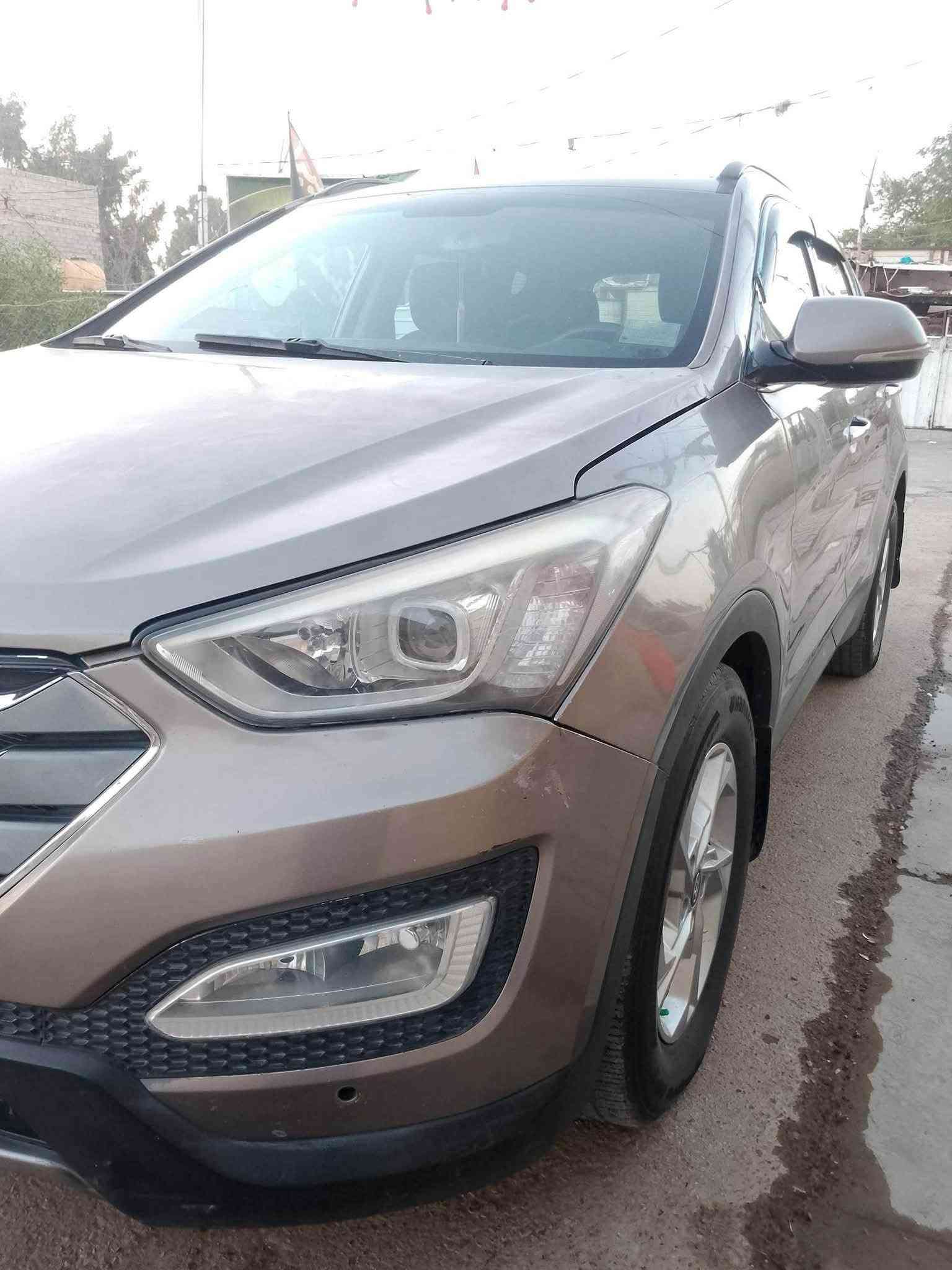 سنتافي • ٢٠١٤ • بدون صبغ