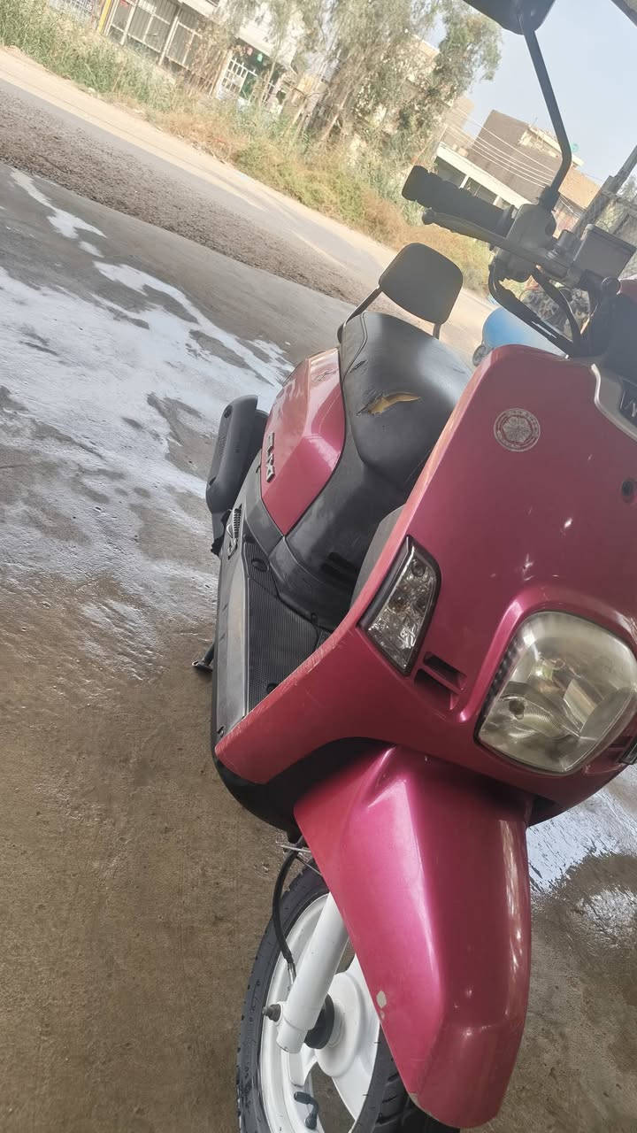 بوليس • ٢٠٠٩ • نوزل