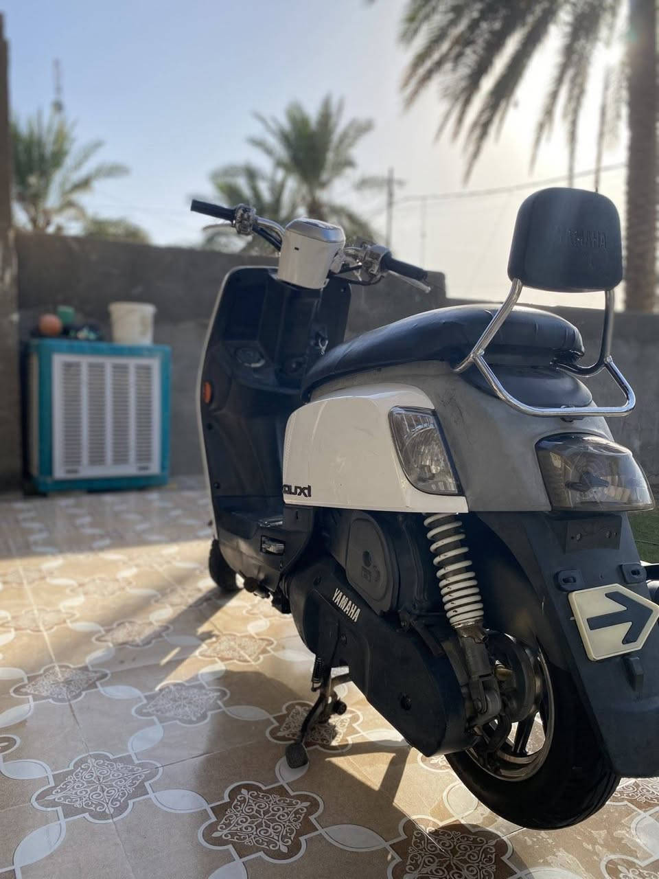 بوليس نوزل • ٢٠١١ • شغاله