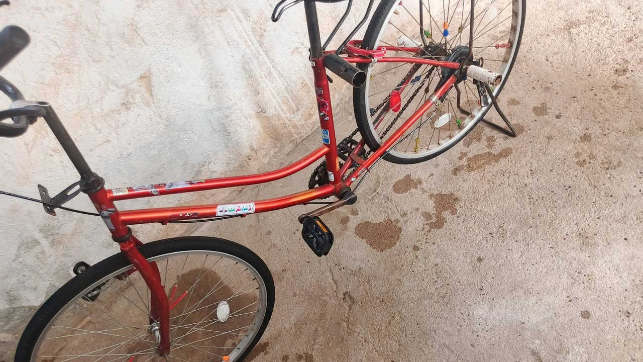 بسكليت • نضيف • نجف حولي