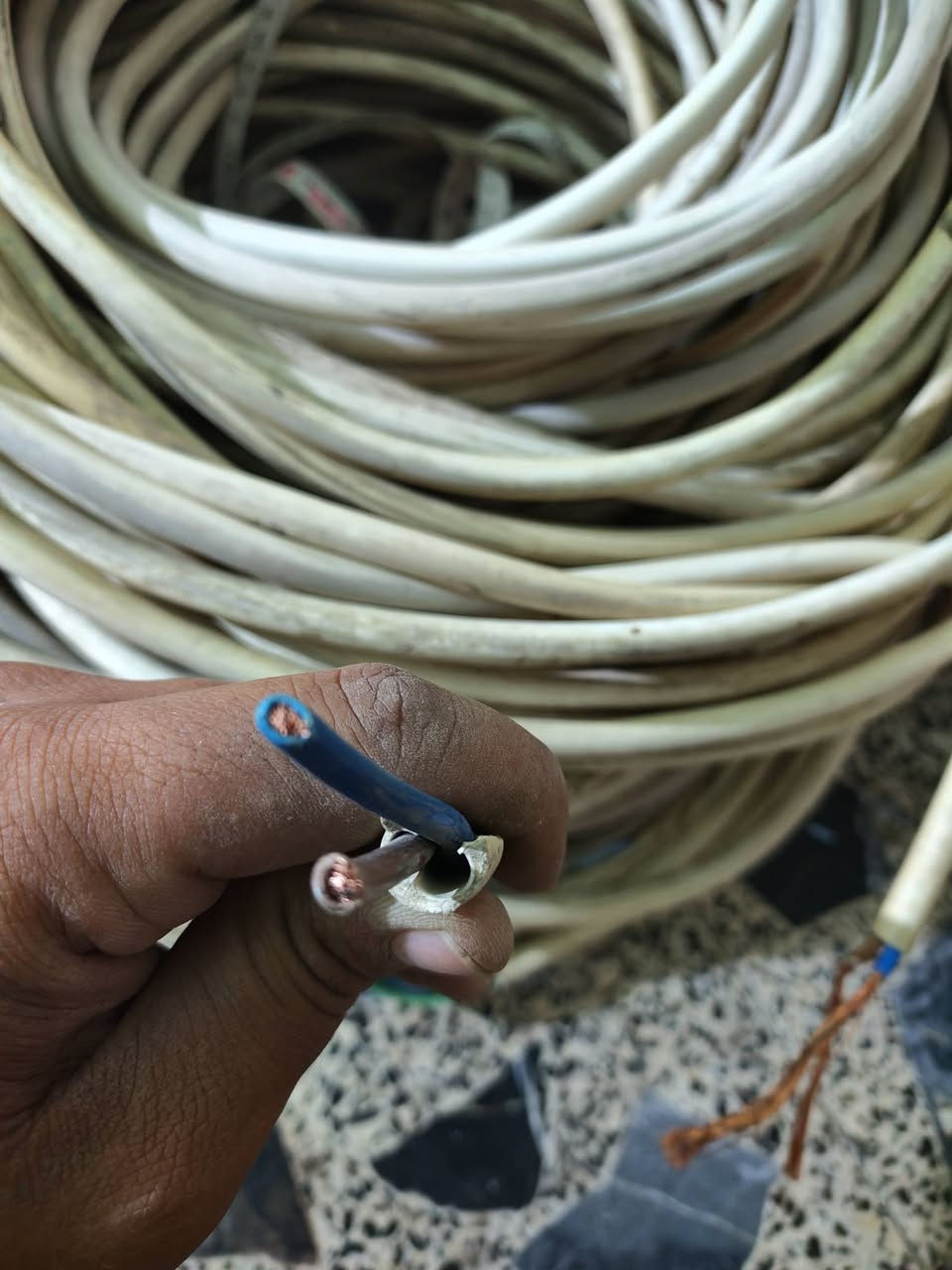 2× 4 فلكس المتحده اردني الاصلي 
عندي 20متر. 20 متر. 10 متر. 30متر 

4×2.5فلكس   35متر 
للتواصل ***********.  مكاني بغداد الشعب
