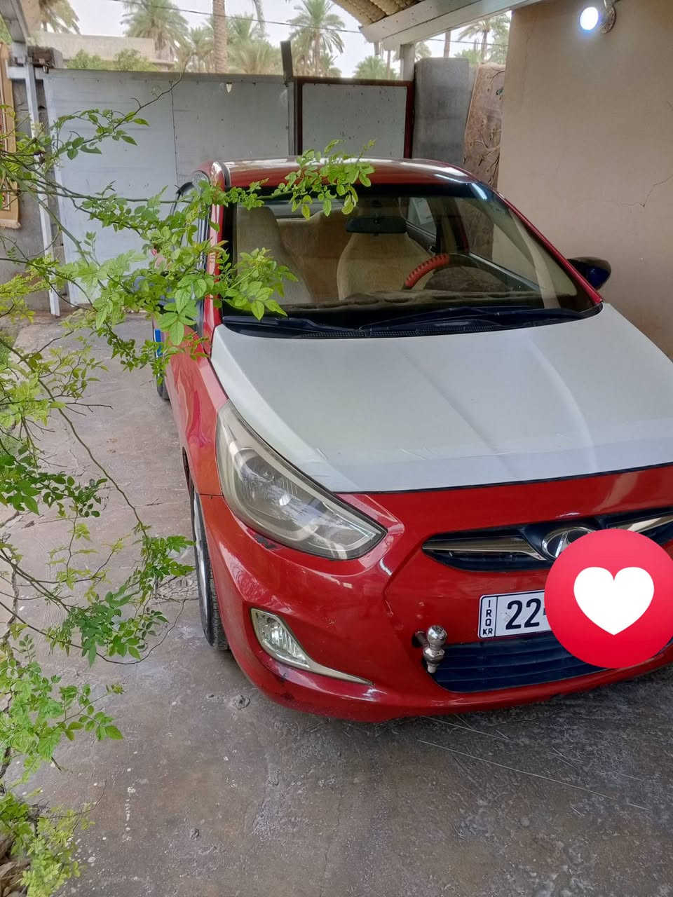 ٢٠١٤ • بدون صبغ • رقم اربيل