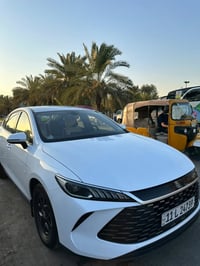 بي واي دي • ٢٠٢٥ • ٣٠ الف