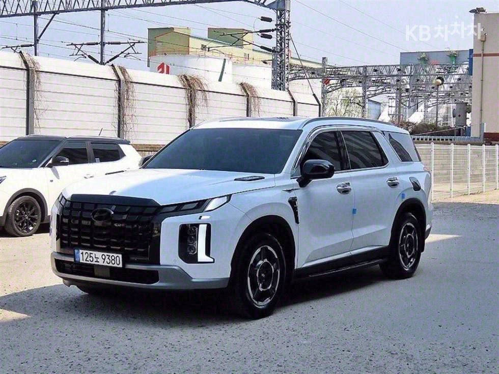 باليسايد • ٢٠٢٣ • باب صبغ