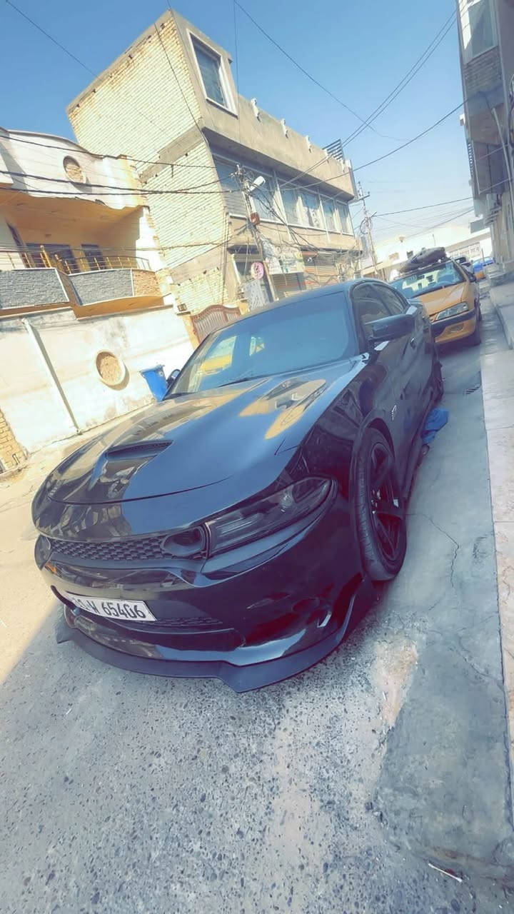 سلام عليكم للبيع
جارجر SRT  سكان باك 6.400
  موديل 2017
لاضافات 

غرفه هيلكات قرميدي
ويل نجمه
لحيه اماميه + دوس + سبايدر + كفر مري +دفيوزر 
 لد اوركل متغير
سقف روزرايز
برجمه +تفريغ مصطفى ايكل
slp وصطيات
تبديل مراوح + راديترات + مازدات + كمبريسر صالهن شهر
برمجه سيفتي
ولف حماوه
ماشيه 80الف ميل
حادث سياره جاملغ + بنيد
سعر 165 وبيه مجال مكان سياره بغداد شعب
رقم للتواصل ***********
