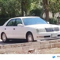 قرار ٤٨ • كمرك مدفوع • كفالة