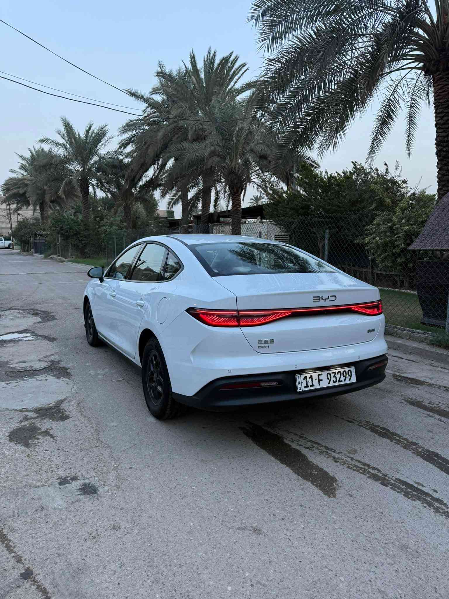 بي واي دي سيل 5 • ٢٠٢٥ • شاشة يوتيوب