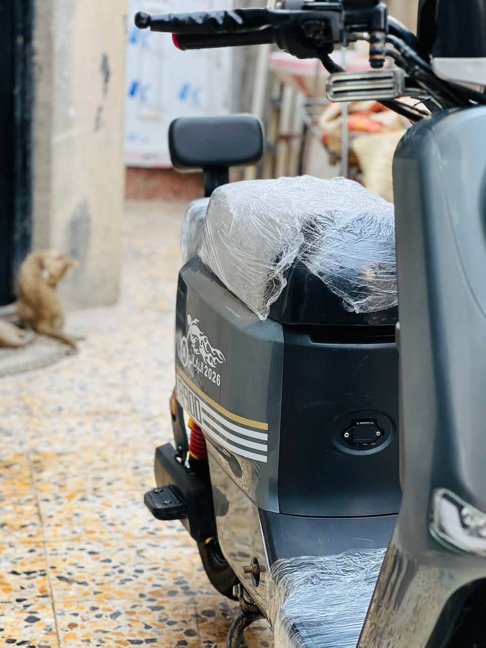 R900 • ٢٠٢٦ • بطاريات بلاد