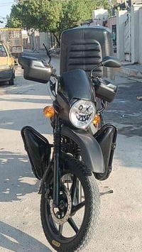 بوكسر • ٢٠٢٣ • نقص زنجيل