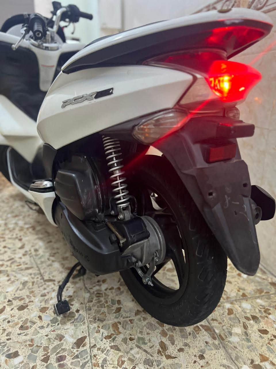 PCX • ياباني • اوراق كامله
