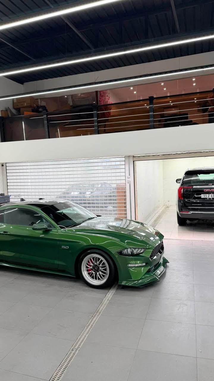 موستنك GT 2022 بريميوم فولل لل اخير
بدون ايرباك لون مميز زيتوني كلش قليل هل لون ومعدود
 
مكينه (8سلندر) 5000cc
كير اوتو (10)نمر

السعر (248) شدتين و ثمانيه واربعين ورقه بسيط للشراي 
ماشيه( 12 ) الف ميل 

مكان (بغداد-الحارثيه)
رقم تلفون *********** 

رقم بغداد  الجديد فحص هزة جديد وسنويه باسمي تحويل ثاني يوم يعني ما تحير بصوت اكزوز لو وشومات لن هزة جديده
—————————————————————————

سياره حادثها (بنيد مبدل) (وجاملغ) قطعتين فقط

سياره راديتر وكالة مروحه وكالة ماي راديتر وكالة ما مبدل على وضع شركة حادثها خفيف وصور حادث بل منشور   
وساحب تقرير  كار فاكس مالتها  بفلوس ايضاً ما بيها اي حادث مسبق ب امريكا او غرق الي يحب راسلني واتس اب ارسله تقرير 
   ————————————————————————

سياره كير مكينه اكسل كاردن صدرها بحالة الوكالة برغي ما مفتوح بيها بجم كبس البراكيته اماميه حتى ضربه مواصلتها 
سياره من دخلت حد الان مسويلها ادامة وصيانه كامله بشركة  فورد القاصد دهن  وفلتر دهن و فلاتر شوته و تبريد كلة وكالة اصلي
 دشبولها ماكو اي كلوب معتلك كله صافي 
—————————————————————————
نجي على مواصفات فول 1/1 ماعدا دجتال
١- تشغيل عن بعد
٢- شاشة كبيرة sync 3 كار بلي
٣-اكتف اكزوز حسب المود تفتح بوابات(نورمال-سبورت-تراك)
٤-فجوج بريمبو 6بستم
٦-دمام صوت بل صندوك وكالة
٧-تحديد مسار
٨-رادار امامي 
٩-رادار جانبي(نقطة عمياء)
١٠-رادار خلفي 
١١-حساسات خلفيه
١٢-كامرة خلفيه
١٥-ستيرن تدفئه هيتر
١٦-خمس وضعيات قياده(نورمال-سبورت-تراك)
١٧-ترحيب بل مرايه
١٨-هيترات بل مرايه
٢٠-سستم سماعات 
٢١-لايت زنون ابيض من وكالة
٢٢-شعار الموستنك ضوئي من الابواب بلادي 
٢٣-شعار موستنك ضوئي متغير بل دوسات بلادي
٢٥-كشنات جلد 
—————————————————————————

اضافات عليها 
1-ولف حماوه مشميتو 
2-اكس بايب+ اج بايب 
3-لحية ار تي ار 
4-دوسات جانبيه ام زعنفه
5-سكوب جامه خلفيه
6-شفتات ستيرن
7-وشم وتضليل
8-صبغ فجوج ولحاية ويل صبغ حراري اصلي

9- تفريغ اكزوز ودوان بايب واكس بايب و لحيم اصلي يم علي وادي اركون من طول لل طول استيل حتى مقاومة للصداء وبوري اعرض صوته مخيف
10-برمجة طلال فور برذر برمجة سيفتي قطرة دوانز ماكو تستقبل بانزين محسن 
11-شفقه خلفيه على جامه خلفيه 
12-لويات تهبيط نصبه سياره 
13-كفرات مري باتمان
14- اضافة لحية ار تي ار 
15-لد سموك بل دعاميه خلفية جانبي 
16- لد سموك بل دفيوزر خلفي 
17- بولش ونانو سيراميك يم NVN
18-ويل فورجد 

سياره ربع دينار ما بيها مصرف كامله من اي نقص
