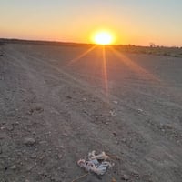 متوفر دونم كامل خدمات كهرباء وماء وشارع تبليط يرهم سكن يرهم استثمار ال...