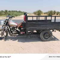 ستوته كلك • مكفوله • تايرات تخم