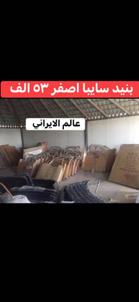 بنيد سايبا • اصفر • البصرة