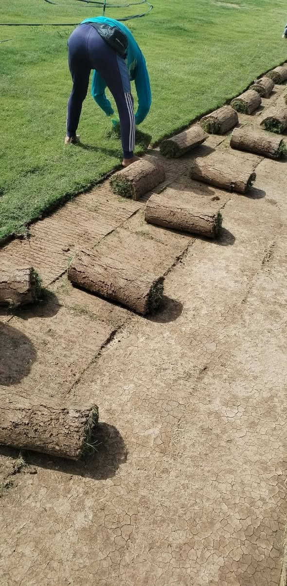 ثيل هندي درجة اولى المتر 1500المتر المربع واصل للاستفسار على الرقم ***********
***********
