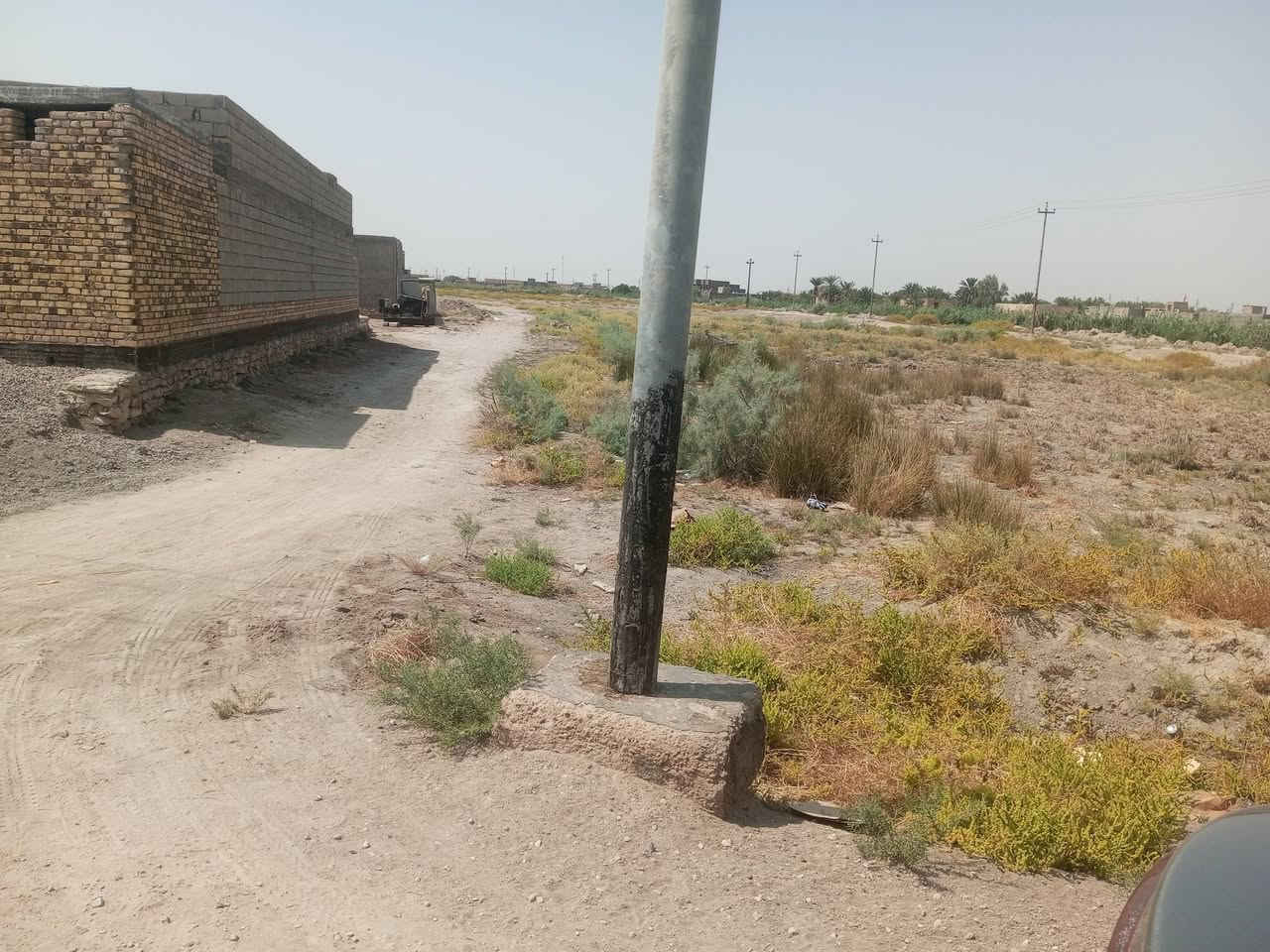 ابو صريفة • ٨٥٠م • طابو سند ٢٥