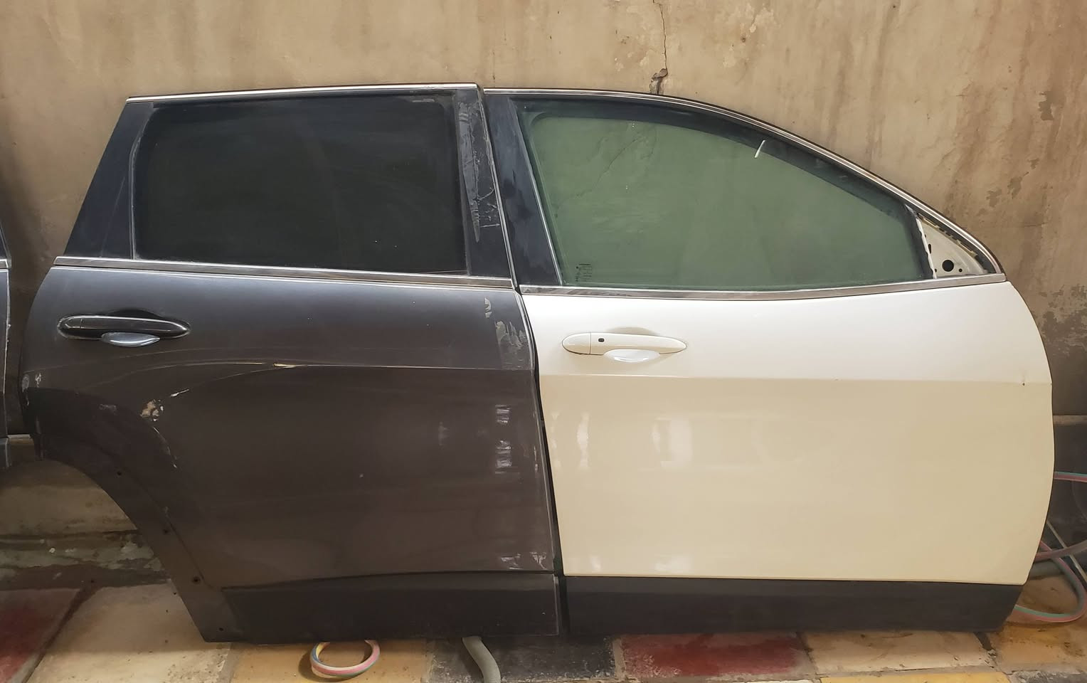 بيبان • بزون ٢٠١٩ • رينجيد ٢٠١٦