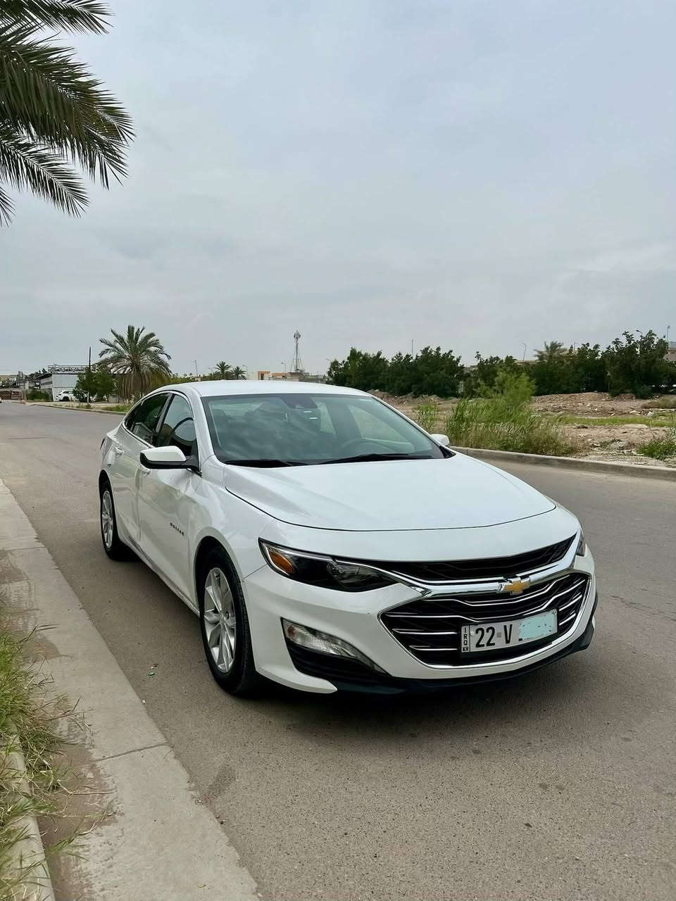 ماليبو هايبرد • ٢٠٢٤ • رقم اربيل