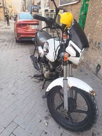 بوكسر كلاسك • ٢٠١٩ • مكفولة
