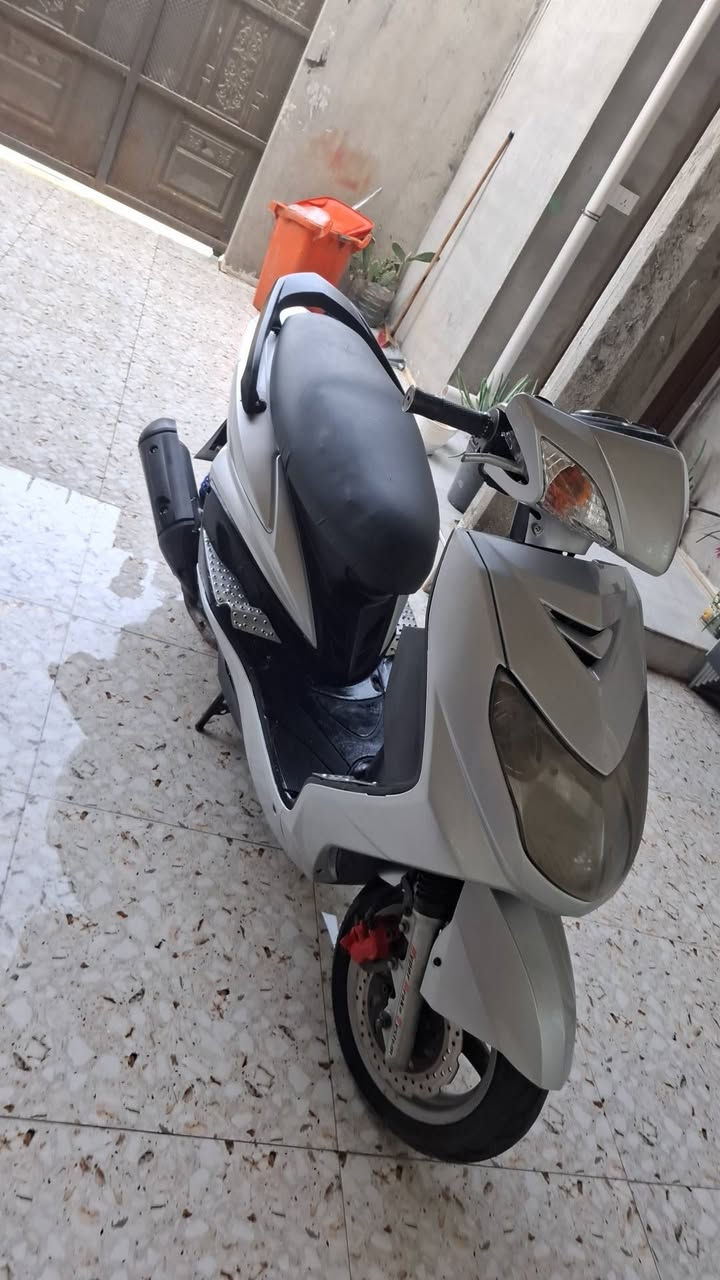 سكنس فحل • نضيفه • نعومة ٩٥