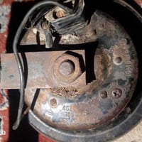 هورنات بوش اللبيع جنح اصلي وين ما يعجبك وديهن   مكاني بغداد المدينه ال...