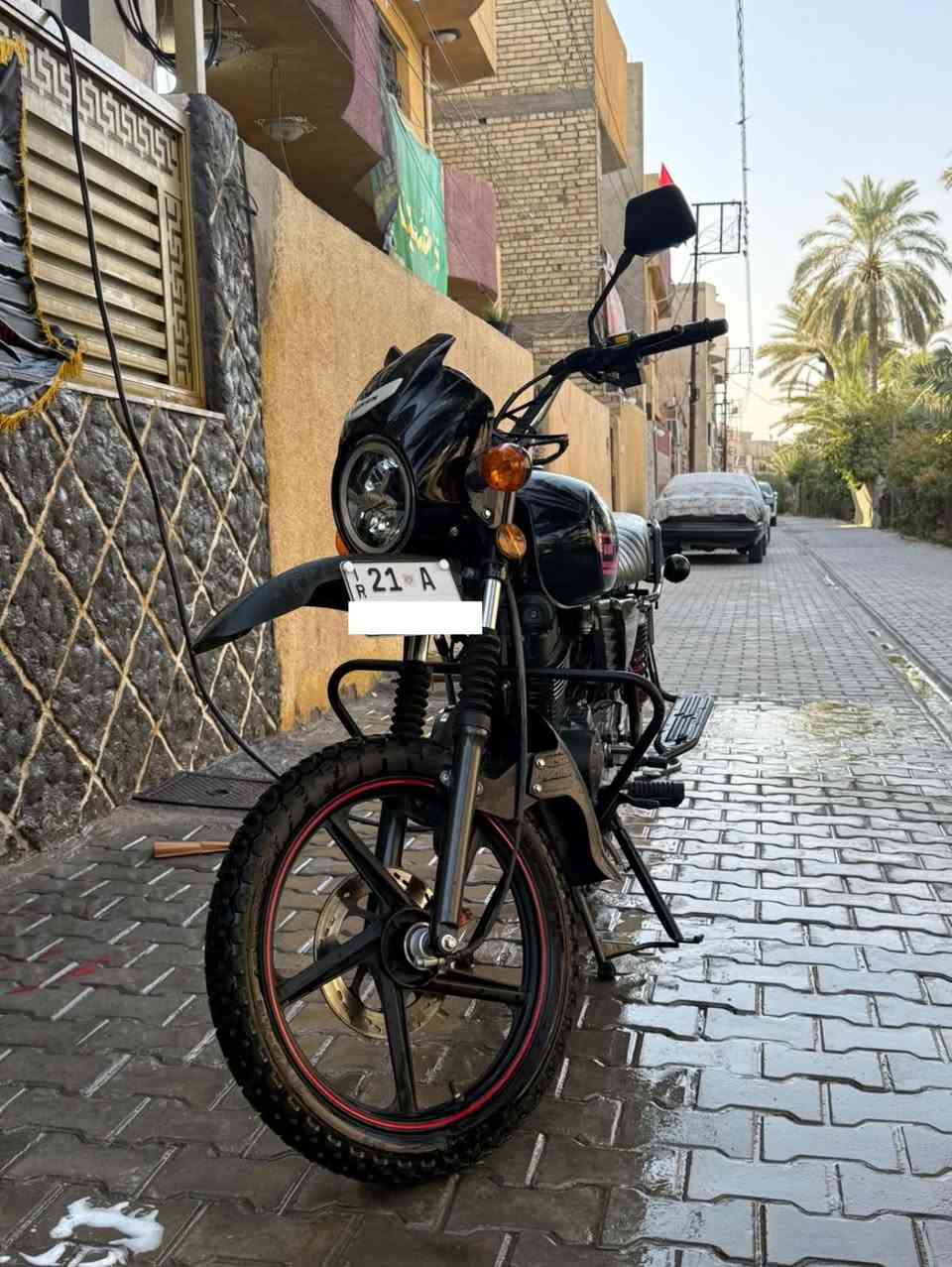 دايون • مرقمة • سليمانية