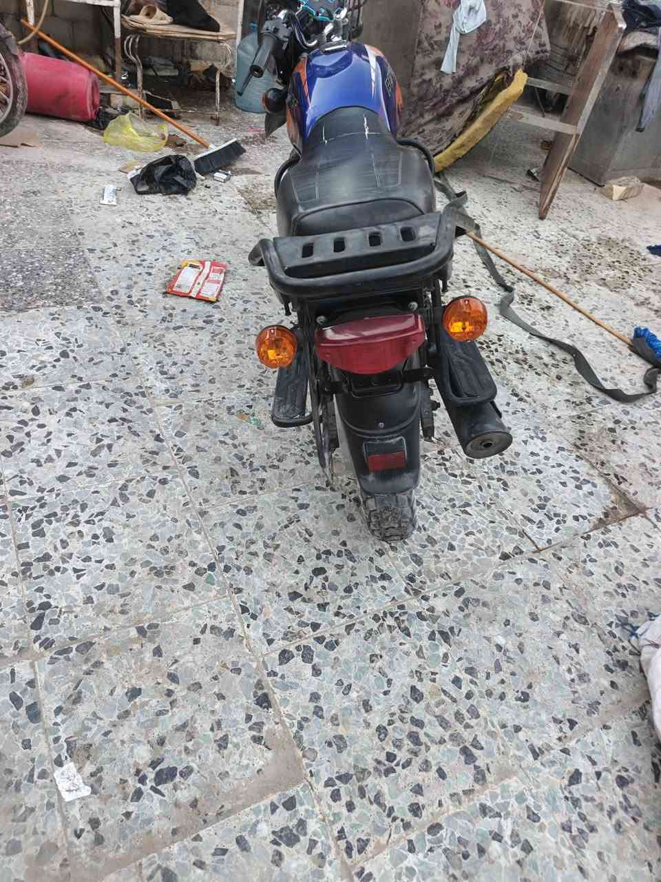 بوكسر • جبلي • ٢٠٢١