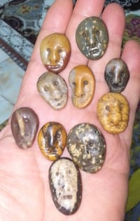 شلعة • وحدة