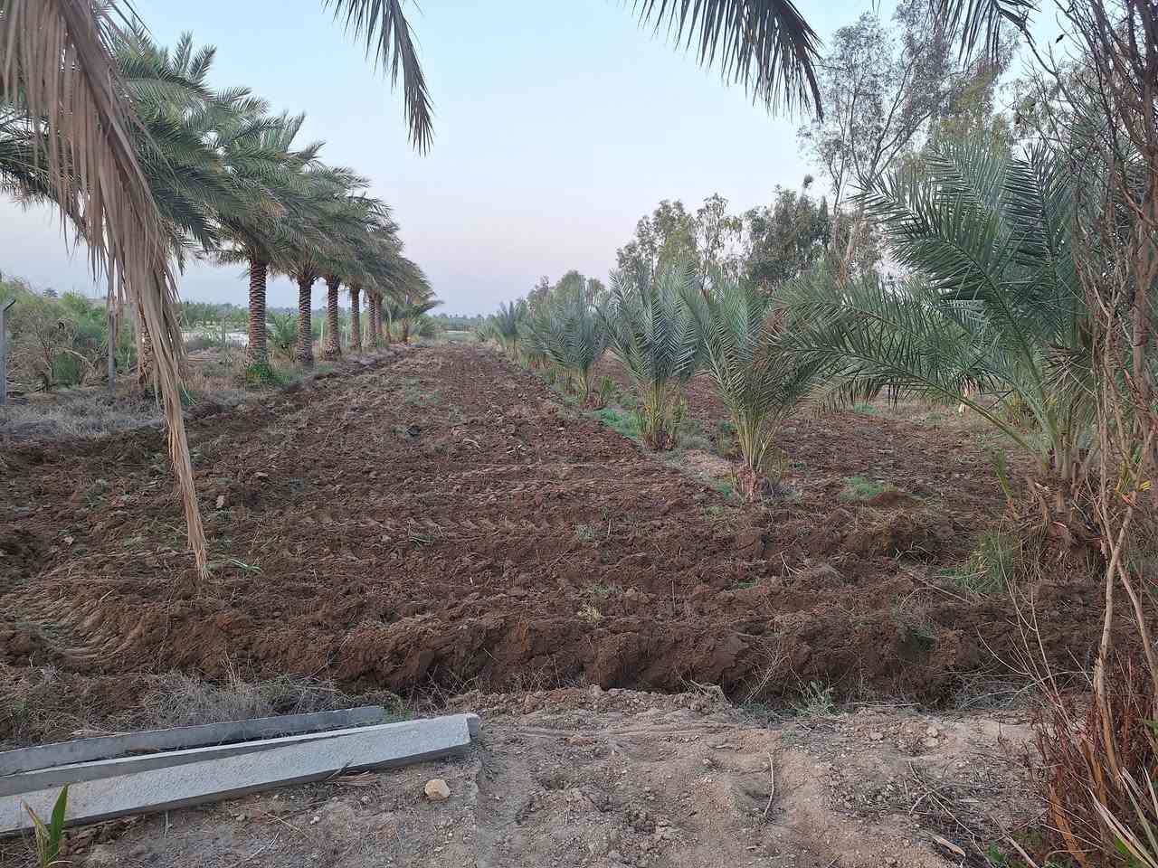 سلام عليكم ٦دونم اونص طابو سند ٢٥ وجهن٧٥متر   للبيع طريق كربلاء نجف طريق ياحسين عمود ١١٤١ وتنزل ٢ كيلومنطقه الجذارخدمات كامله شارع تبليط عرضه ١٢ متر  مي كهرباء خط مولد مدارس التفاصيل اكثر اتصل ***********
***********
