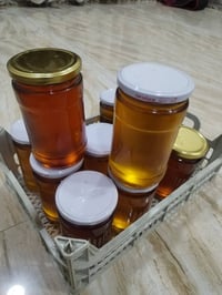 عسل شمالي • برسيم • غلم طوس