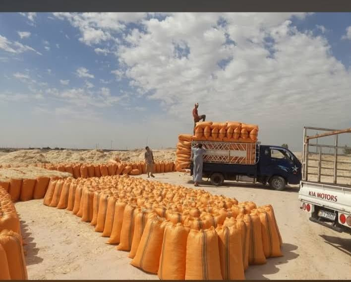 وين اليدورون النضيف  والستندر  وحجم 60 الطول 83 يمي تبناية عل فحص ذا بيهة قطرت تراب مرجوعة بسعر مناسب جداً جداً سعر الزوج ب2500 وترس دج خابر ودلل علينة 
 ***********
ابو حسين
يوجد توصيل سامراء  تكريت  دور. العلم. ناحية المعتصم الظلوعيه.  السحاقي ناحية العذيه بلد دجيل بلقرب  من علوت المخضر بغداد 
التاجي . الطارمية .المشاهده  عبايجي 
نستقبل اتصالاتكم من سبعه صباحا حتى الساعة العاشرة والنصف مساء

