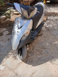ماكس ثعلب • نضيفة • بدون اوراق
