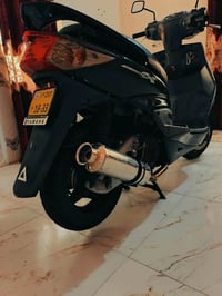 سكنس • ياباني • مكفوله
