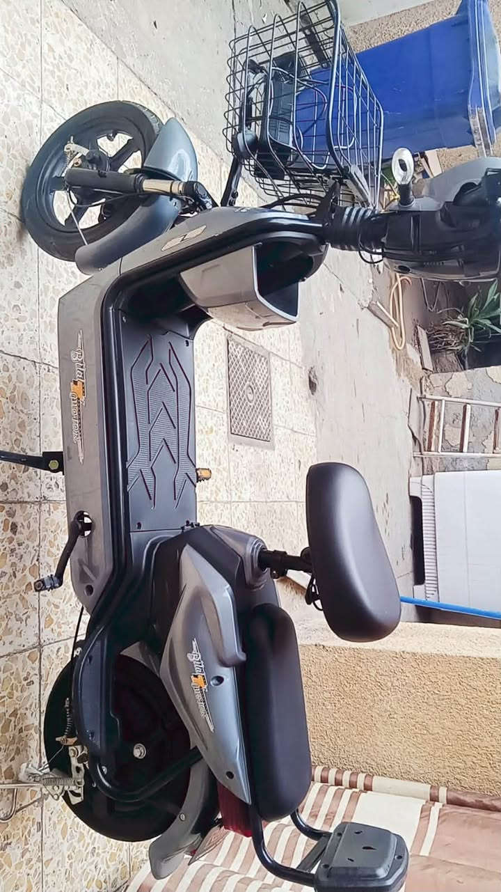رقم فقط • بدون وصف • غير محدد