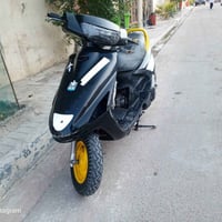 فراشة كزوز • رياضي • حلك عريض