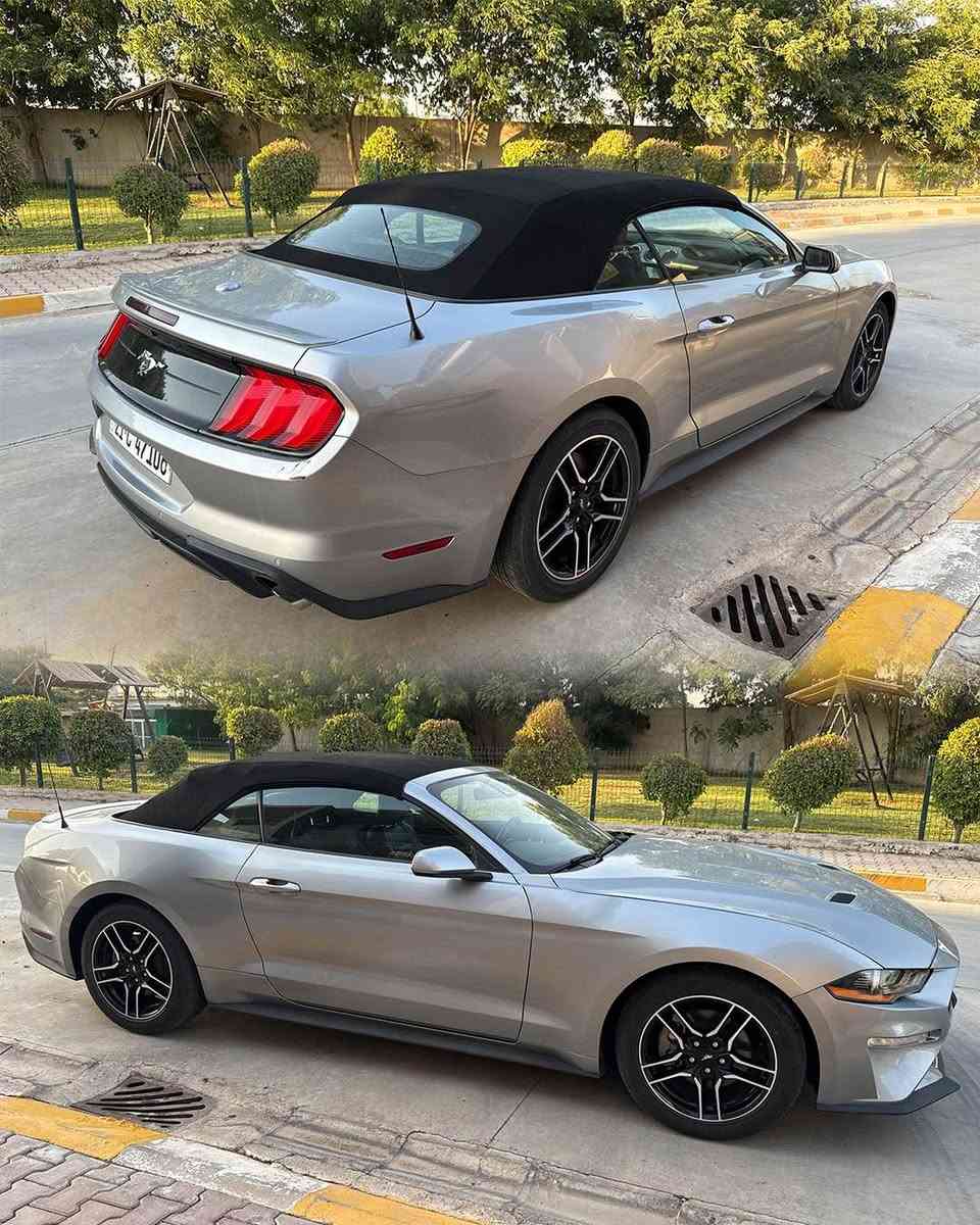 المواصفات:
• السيارة: Ford Mustang 
• الفئة: EcoBoost Premium
• سنة الصنع: 2022
• المحرك: 2.3L EcoBoost Turbo
• عدد السلندرات: 4
• ناقل الحركة: أوتوماتيك 10 سرعات
• الدفع: خلفي (RWD)
• المسافة المقطوعة: 95,000 كم
• اللون الخارجي: سلفر
• المقاعد: جلد أسود
• رقم التسجيل: السليمانية

✨ المواصفات الإضافية:
✅ شاشة لمس كبيرة
✅ Apple CarPlay & Android Auto
✅ تشغيل بصمة (Push Start)
✅ دخول ذكي (Keyless Entry)
✅ كاميرا خلفية
✅ حساسات أمامية وخلفية
✅ مثبت سرعة
✅ إضاءة LED
✅ جنوط رياضية أصلية
✅ مقاعد كهربائية
✅ مقود متعدد الوظائف
✅ نظام صوت ممتاز
✅ سقف كشف (Convertible)

📋 الضرر:
• قطعتان فقط.
• صور الحادث متوفرة بكل شفافية للمشتري الجاد.

💰 السعر المطلوب: 17,500 دولار
قابل للتفاوض بالمعقول بعد المعاينة.

📍 الموقع: كركوك
📞 للاستفسار: ***********

السيارة نظيفة وجاهزة كركوك, العراق
