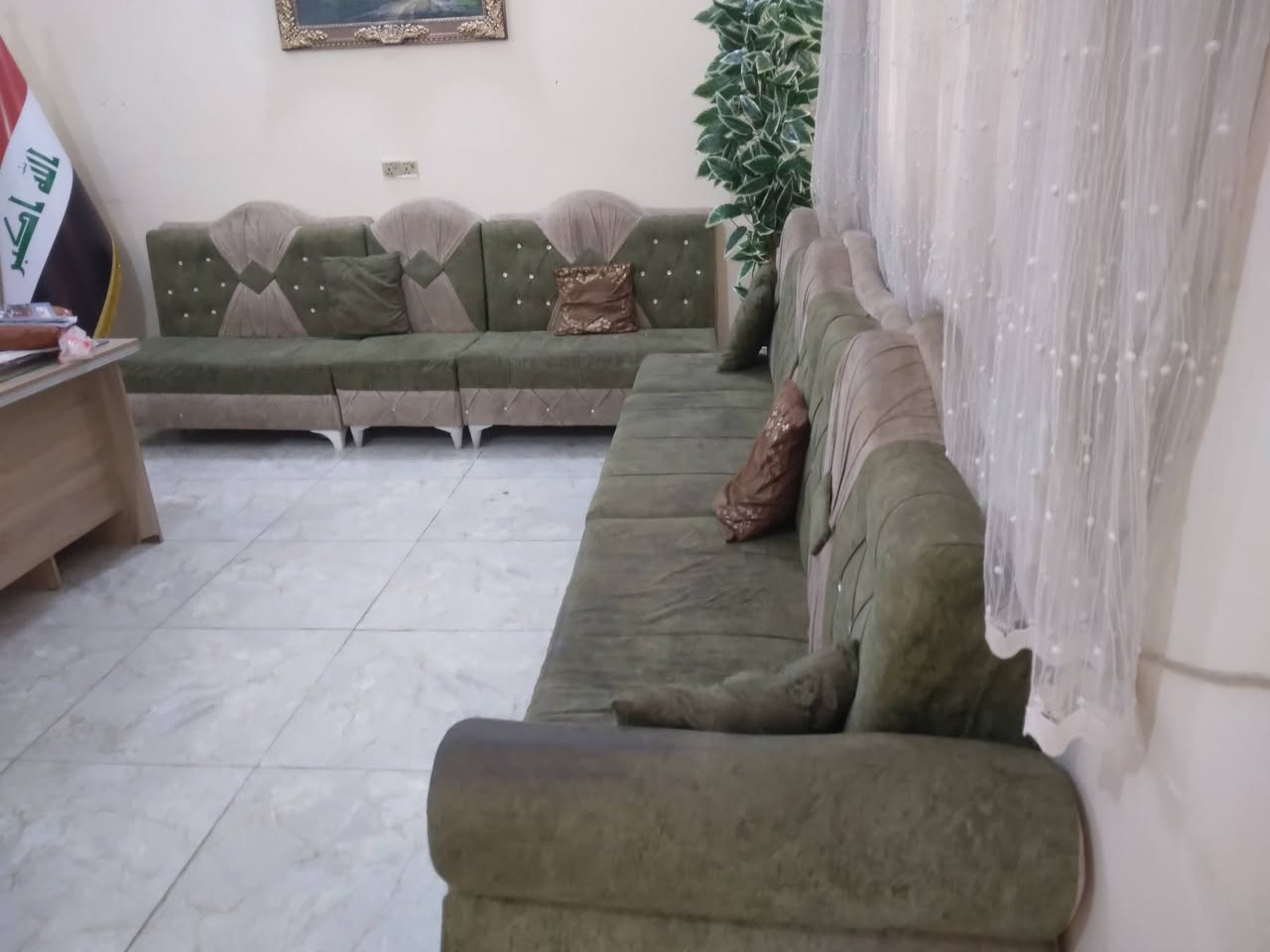 السلام عليكم 
الزيتوني عوزه بس تنضيف 
والجوزي نضيف 
***********
