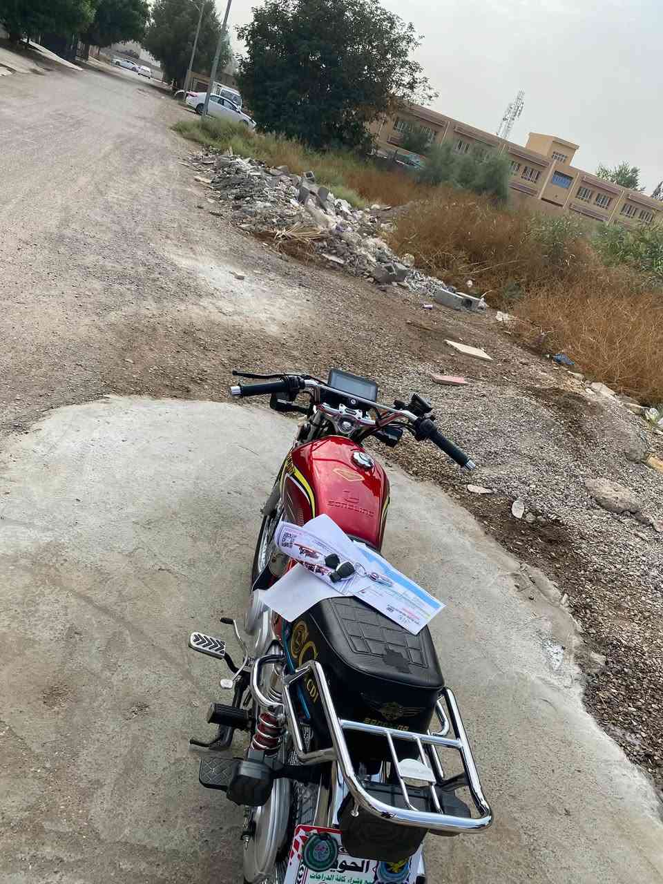 تايگر • ٢٠٢٥ • ممشاه قليل