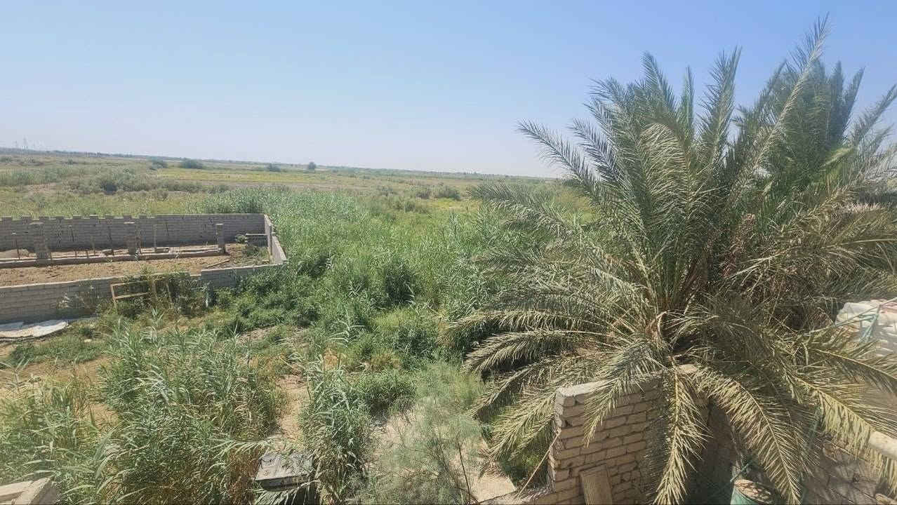 سلام عليكم
من رخصت ال إدمان بيت مساحه ٤٥٠  يحتوي علئ ٥ غراف واستقبال طوله ١٥ متر وصاله ١٠ متر ٣ مجمعات صحيات  ومطبخ ٥ ب٤  مع دونم زراعي 
 مع أرض زراعيه مساحهه ١٦ دونم  متوفر ما وكهرباء كافت الخدمات موقع قضاء الشطره منطقه الجهل
استفسار 
رقم ***********
رقم ***********

