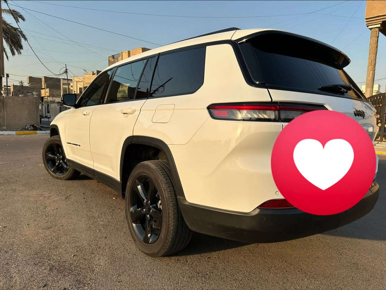 ٢٠٢٥ • ٧ راكب • كتاب شهداء