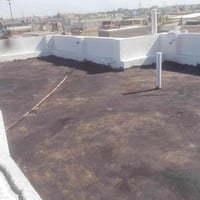 شتايكر • ماستك • فحص مهندس