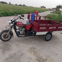 ستوته • ٢٠١٠ • مكفولة