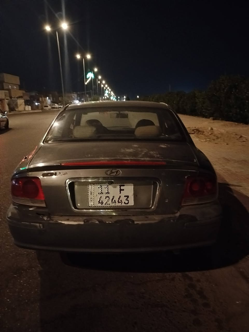سوناتا ٢٠٠٢ • أوراق جاهزة • سنوية ٢٠٣١