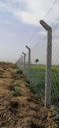 نصب اسيجه • بيارسي • بغداد